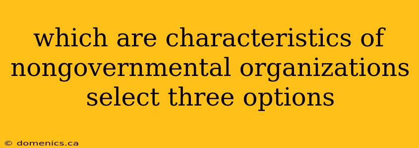 which are characteristics of nongovernmental organizations select three options