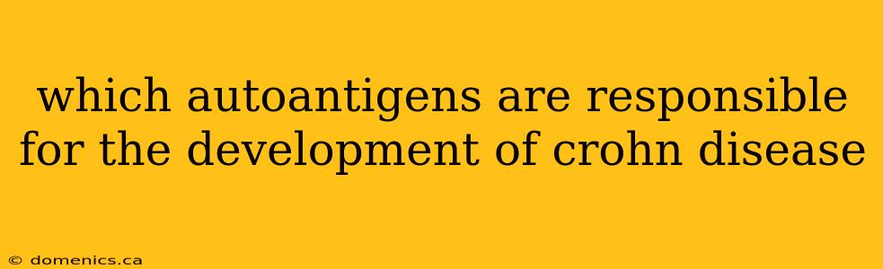which autoantigens are responsible for the development of crohn disease