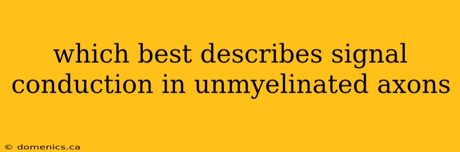 which best describes signal conduction in unmyelinated axons