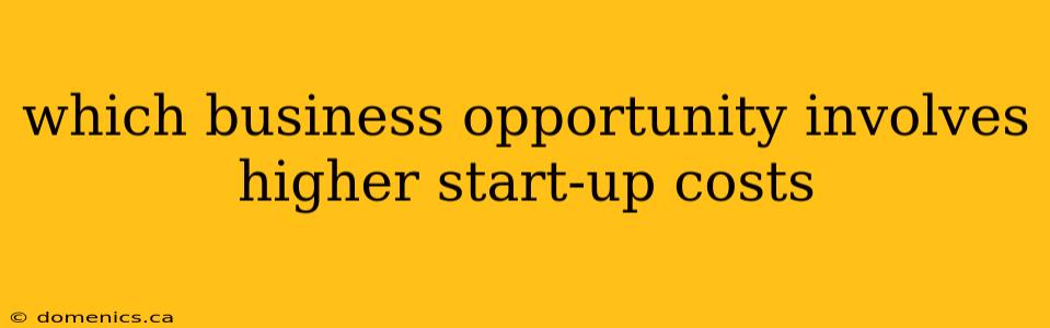 which business opportunity involves higher start-up costs