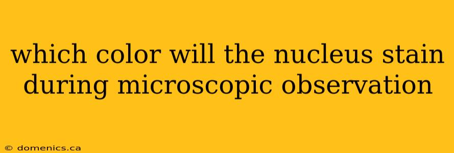 which color will the nucleus stain during microscopic observation