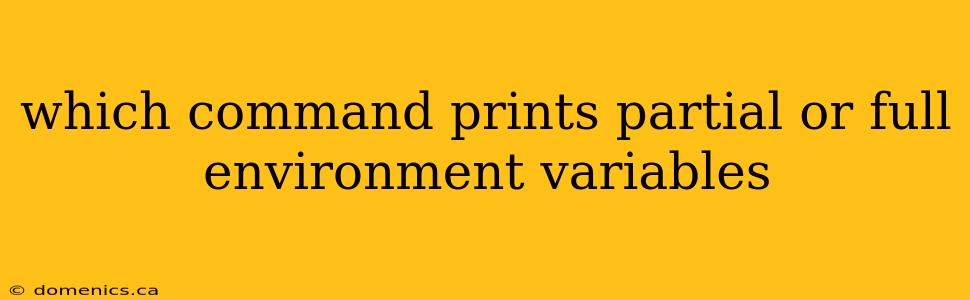 which command prints partial or full environment variables