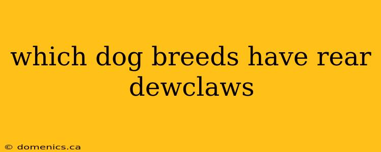 which dog breeds have rear dewclaws