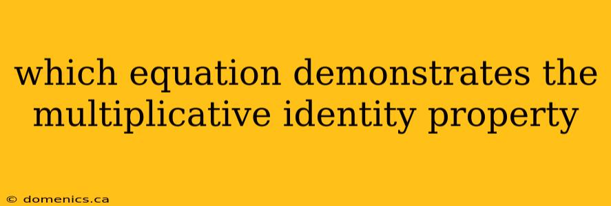 which equation demonstrates the multiplicative identity property