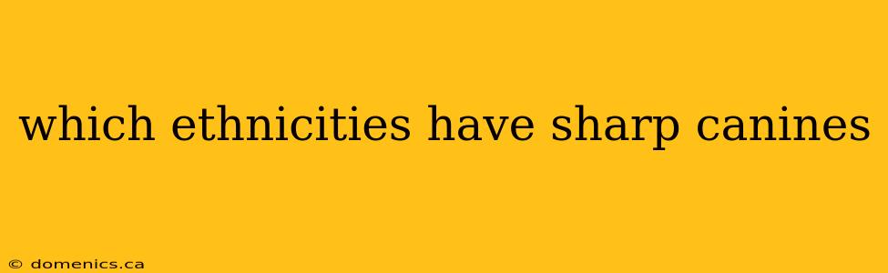 which ethnicities have sharp canines