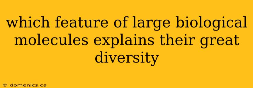 which feature of large biological molecules explains their great diversity