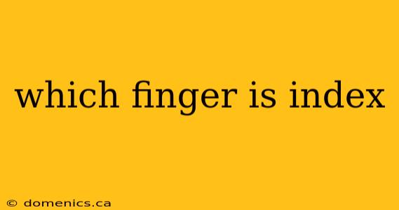 which finger is index