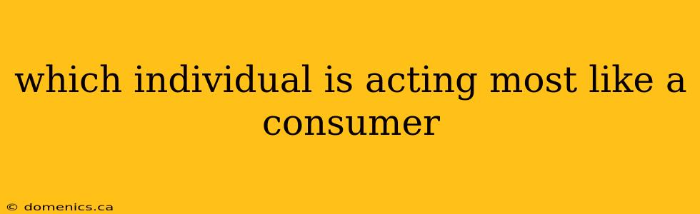 which individual is acting most like a consumer