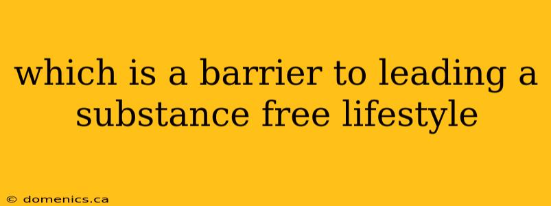 which is a barrier to leading a substance free lifestyle