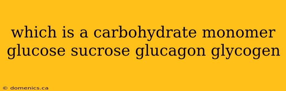 which is a carbohydrate monomer glucose sucrose glucagon glycogen