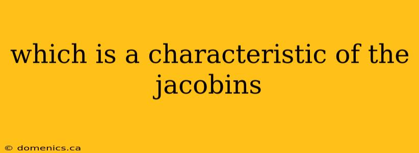 which is a characteristic of the jacobins