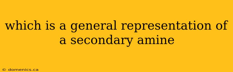 which is a general representation of a secondary amine