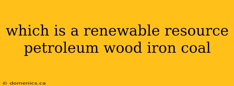 which is a renewable resource petroleum wood iron coal