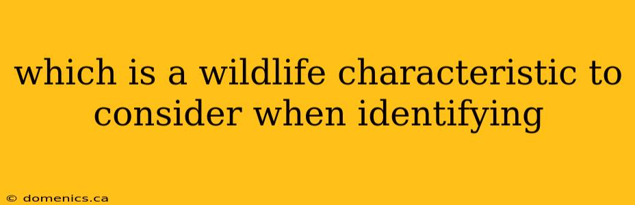 which is a wildlife characteristic to consider when identifying