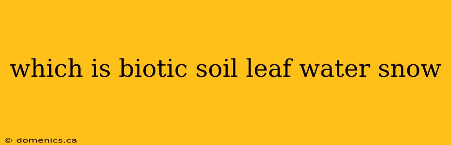 which is biotic soil leaf water snow