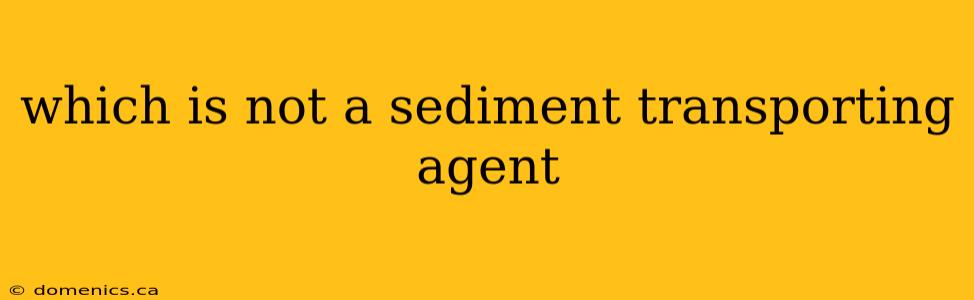 which is not a sediment transporting agent