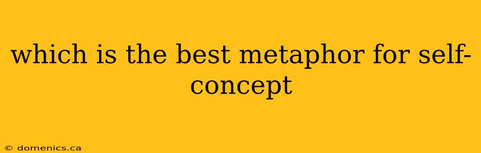 which is the best metaphor for self-concept