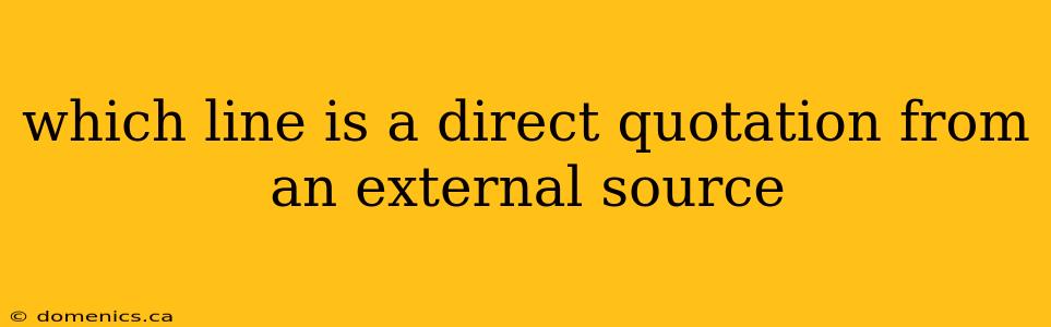 which line is a direct quotation from an external source