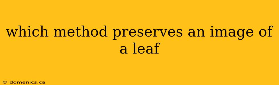 which method preserves an image of a leaf