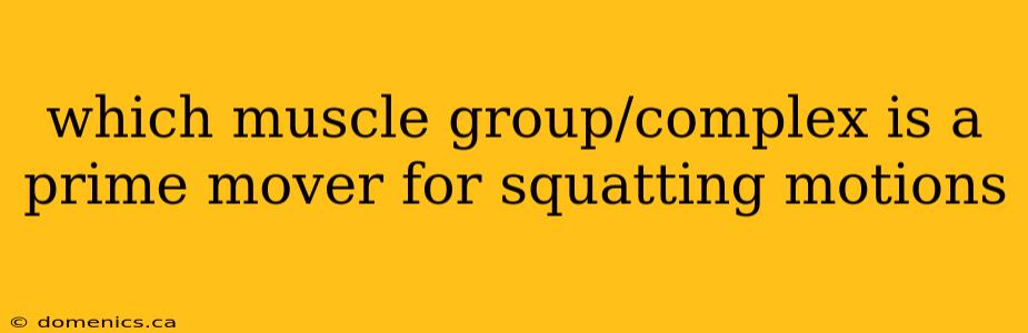 which muscle group/complex is a prime mover for squatting motions