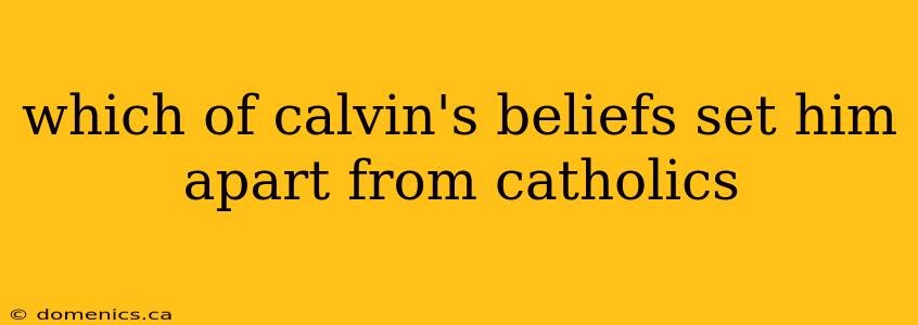 which of calvin's beliefs set him apart from catholics