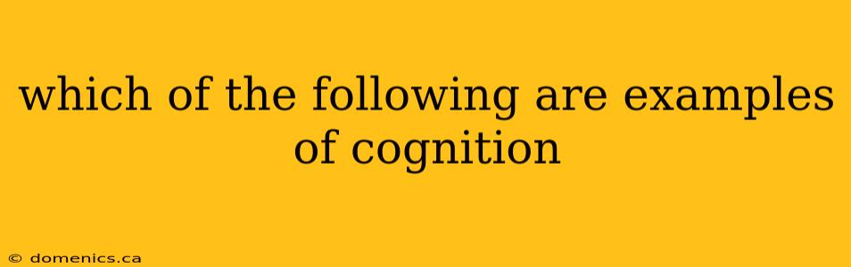 which of the following are examples of cognition