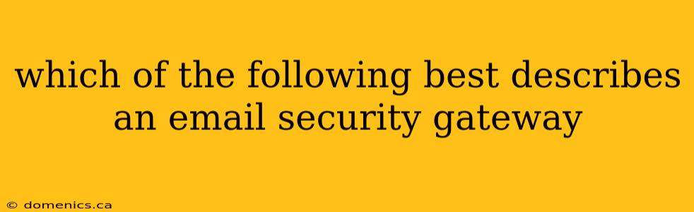 which of the following best describes an email security gateway