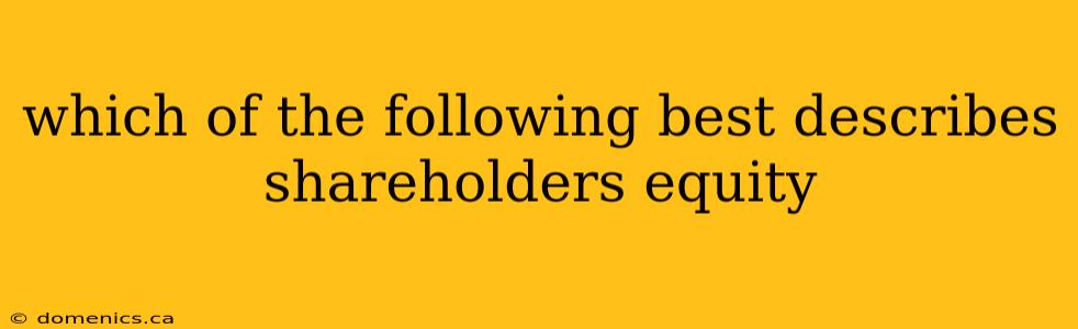 which of the following best describes shareholders equity