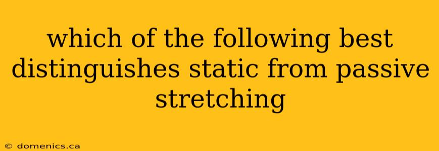 which of the following best distinguishes static from passive stretching