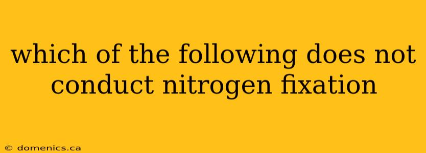 which of the following does not conduct nitrogen fixation