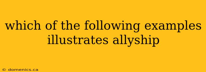 which of the following examples illustrates allyship