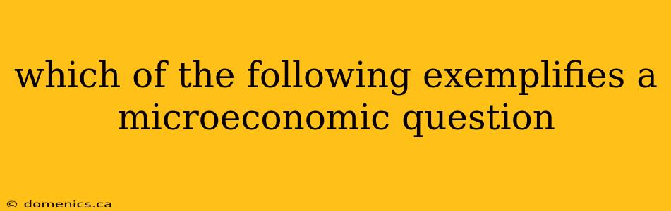 which of the following exemplifies a microeconomic question