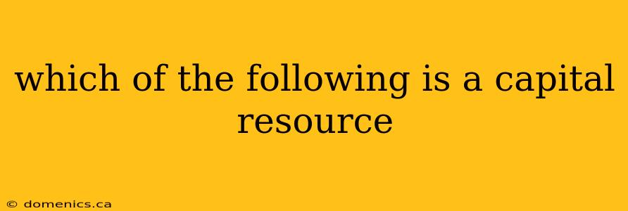 which of the following is a capital resource