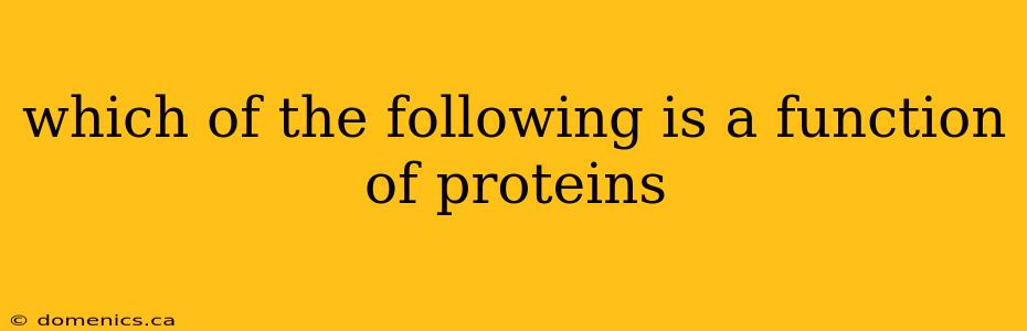 which of the following is a function of proteins