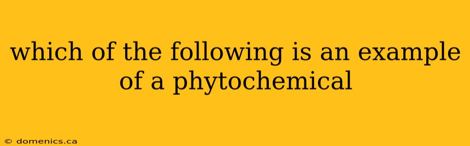 which of the following is an example of a phytochemical