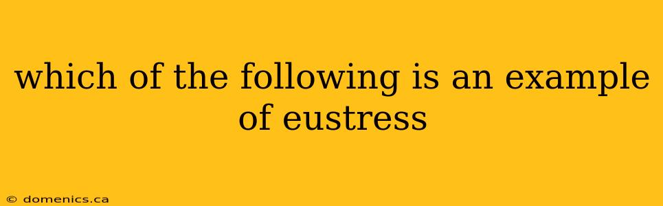 which of the following is an example of eustress