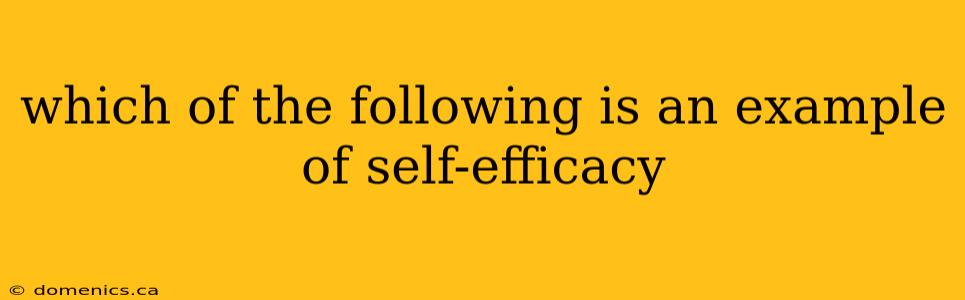 which of the following is an example of self-efficacy