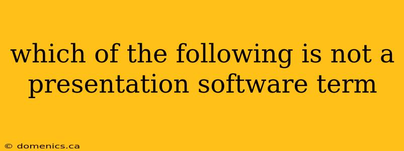 which of the following is not a presentation software term