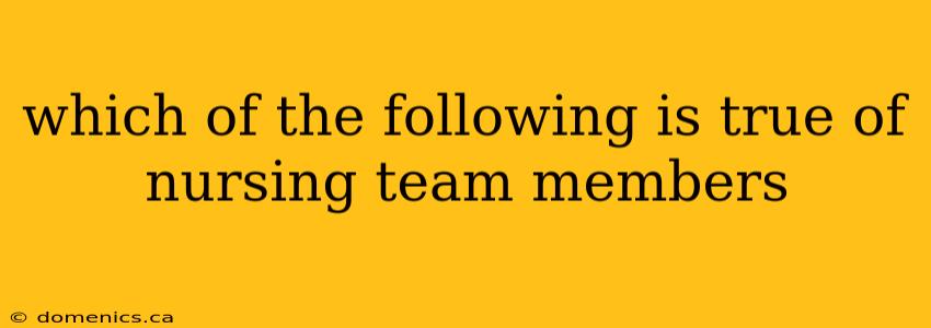 which of the following is true of nursing team members