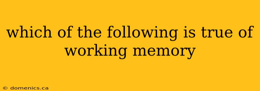 which of the following is true of working memory