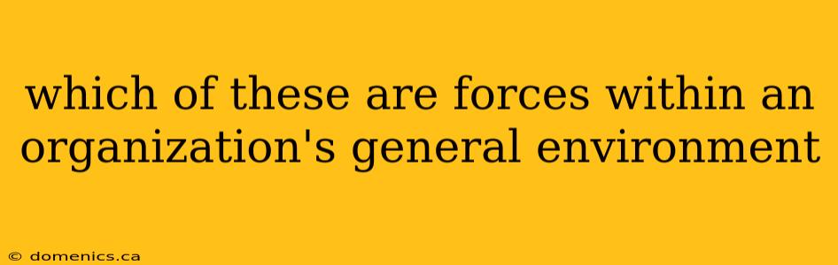 which of these are forces within an organization's general environment