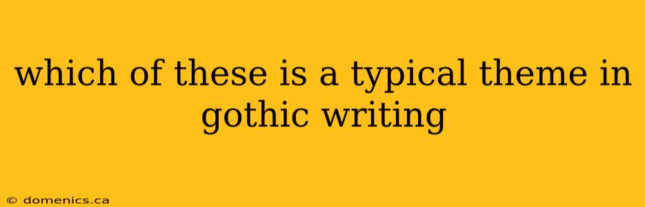 which of these is a typical theme in gothic writing