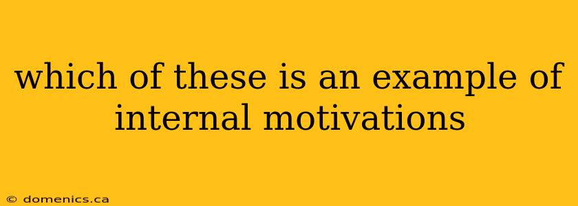 which of these is an example of internal motivations