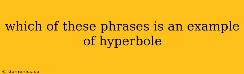 which of these phrases is an example of hyperbole