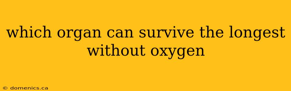 which organ can survive the longest without oxygen