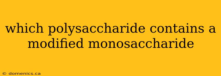 which polysaccharide contains a modified monosaccharide