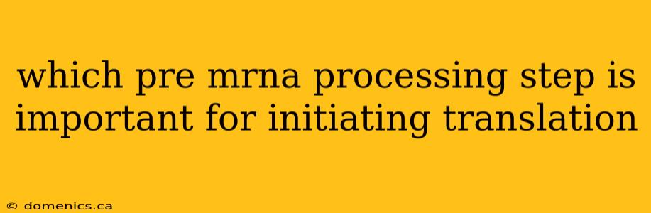 which pre mrna processing step is important for initiating translation