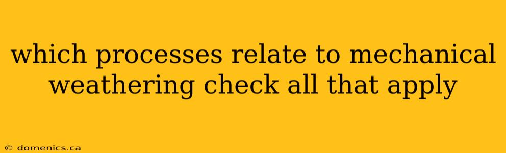 which processes relate to mechanical weathering check all that apply