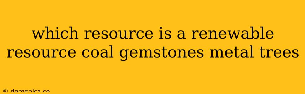 which resource is a renewable resource coal gemstones metal trees