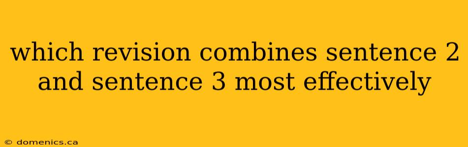 which revision combines sentence 2 and sentence 3 most effectively